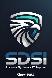 DSI Business Systems IT Support Logo - Murrieta CA