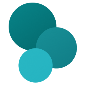 Custom Software Development